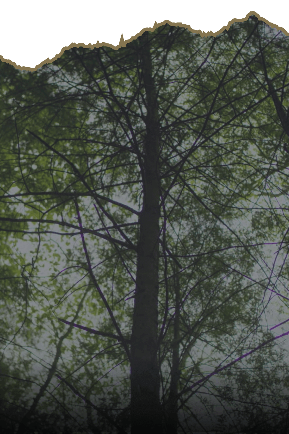 climber x hunter mobile