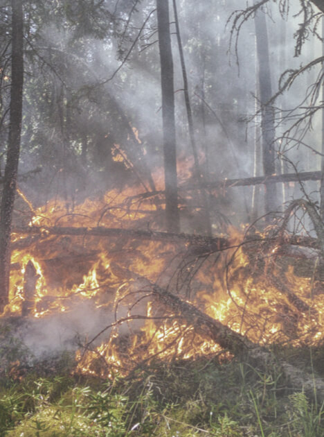 DS Carousel TorchedEarth Desktop