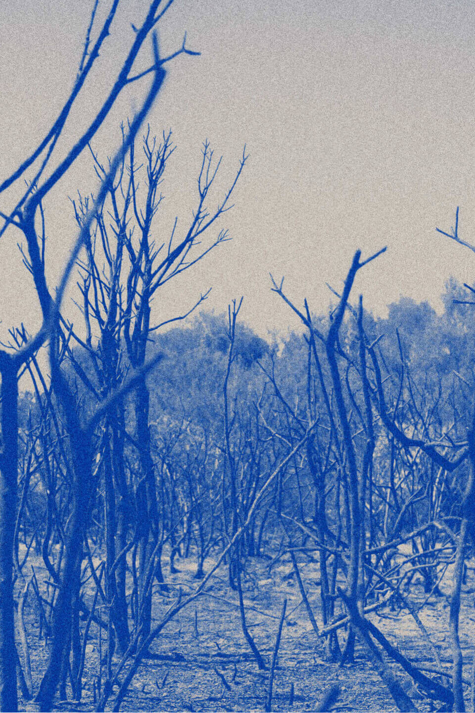 DS ClimateAction Mobile