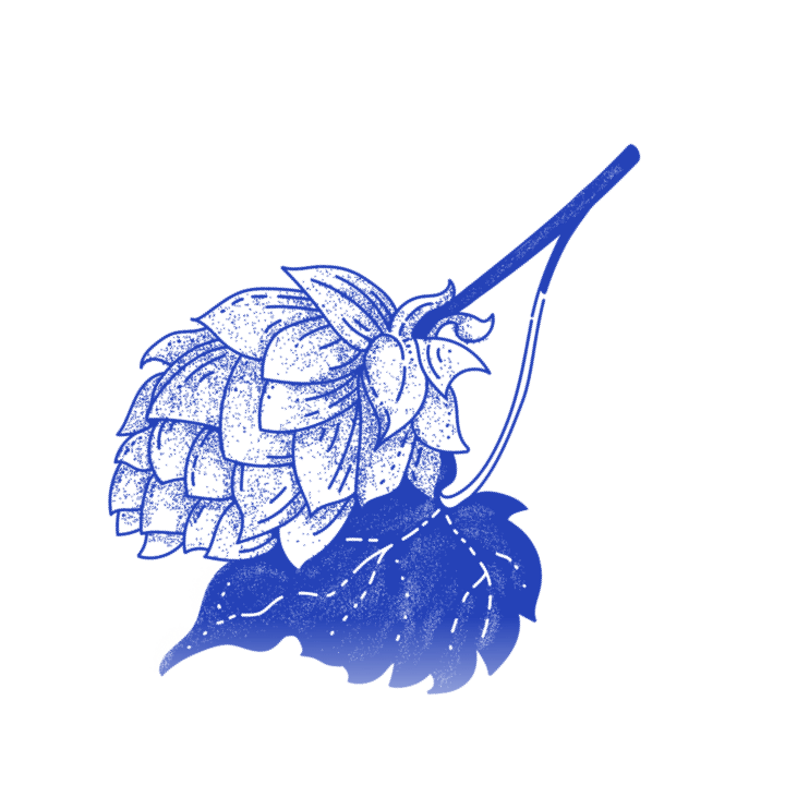 DS Mobile Supplier Program